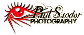 logo-paulsandor